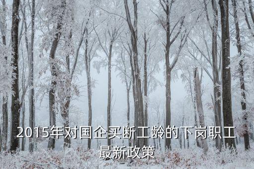 中鋁公司買斷有什么政策，2015年對國企買斷工齡的下崗職工最新政策