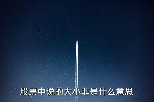 股市大小非是什么意思，股市中的大小非是指什么