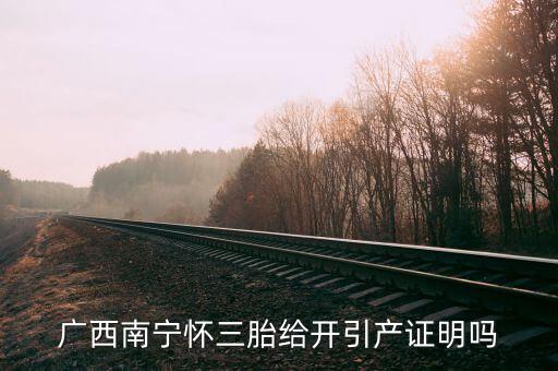 a廣西南寧生三胎有什么政策，2014年廣西人均收入2595元超生三胎罰款是多少錢(qián)