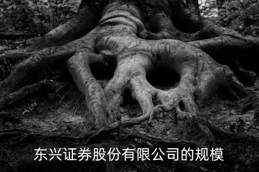 東興證券為什么是龍頭，東興證券這家證券公司怎么樣