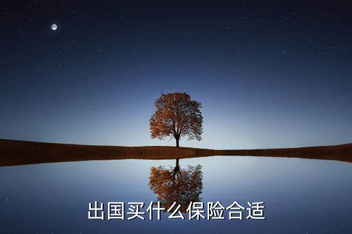 什么保險長期在國外有用，什么保險有去國外玩的保障啊