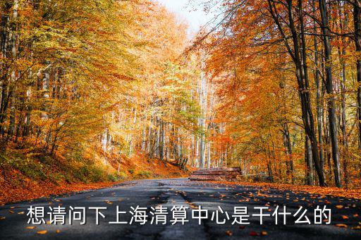 上海清算所做什么，想請問下上海清算中心是干什么的
