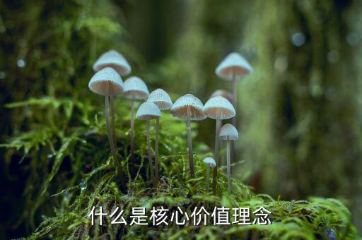什么是核心價值理念，什么是核心價值理念