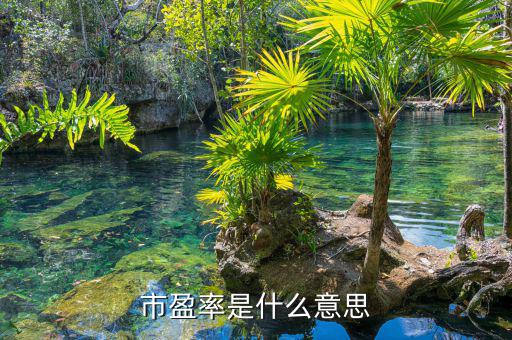 什么是市盈率，什么是市凈率和市盈率