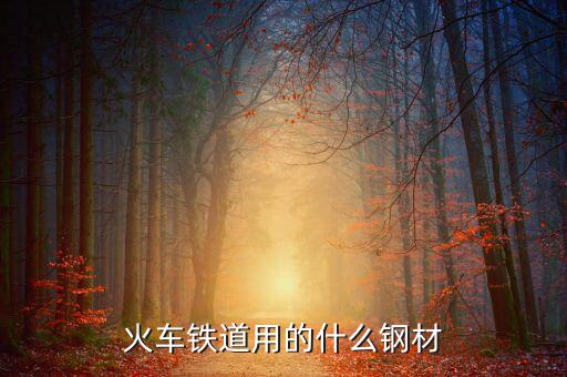 動車制造用的是什么鋼，火車鐵道用的什么鋼材