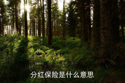什么是分紅保險(xiǎn)，分紅保險(xiǎn)是什么意思