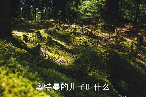 奧特佳老總兒子叫什么，奧特曼的兒子叫什么