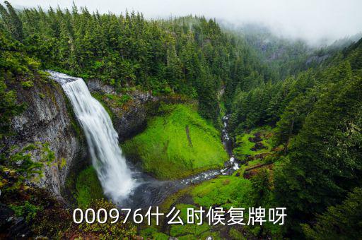 000976什么時候復牌呀