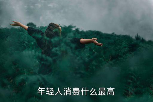 年輕人消費最多的什么，年輕人消費什么最高