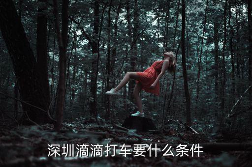 深圳交通滴滴有什么政策，申請深圳滴滴對司機(jī)有些什么要求嗎