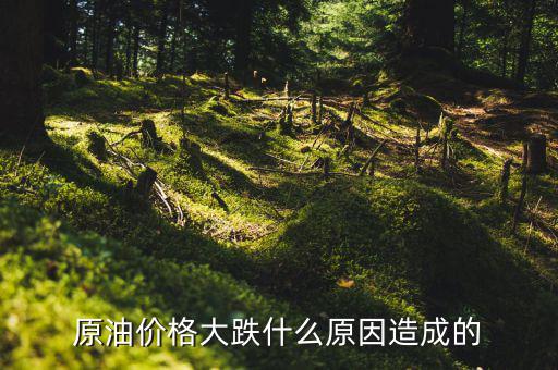 原油為什么會(huì)跌，原油價(jià)格大跌什么原因造成的