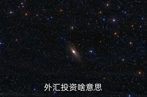 外匯融資是什么意思，外匯投資啥意思