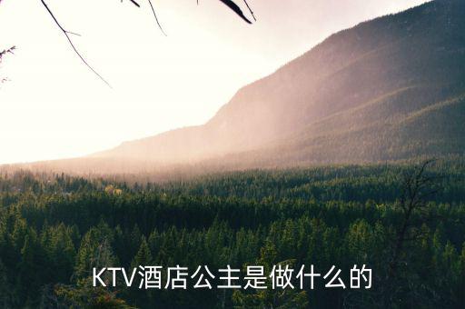 酒店出臺(tái)是干什么的，KTV酒店公主是做什么的