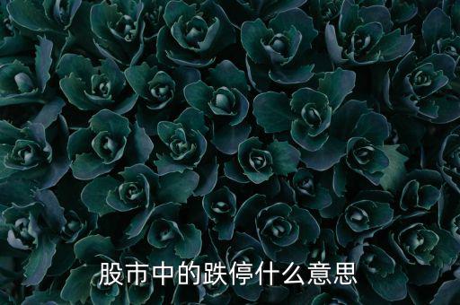 跌停是什么意思，跌停是什么意思