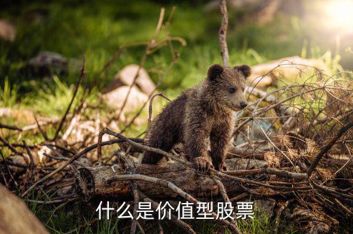 什么叫價(jià)值型個(gè)股，價(jià)值形股票是指什么
