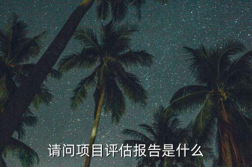 什么是評估咨詢報告，什么是投資評估報告