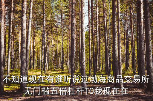 渤海商品多少倍杠桿是什么意思，專業(yè)做期貨的口中所謂幾倍杠桿幾倍杠桿到底是啥意思