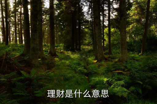 理財(cái)市場(chǎng)是什么，理財(cái)是什么意思