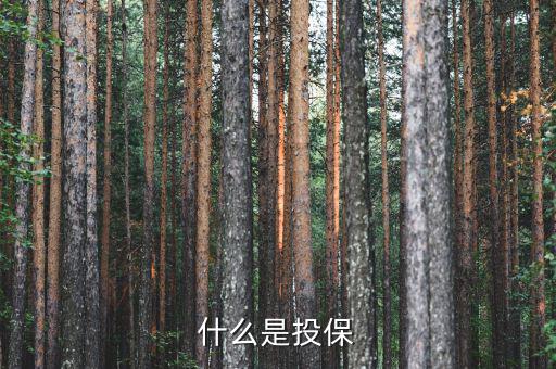 什么是投保，什么是銀行投保