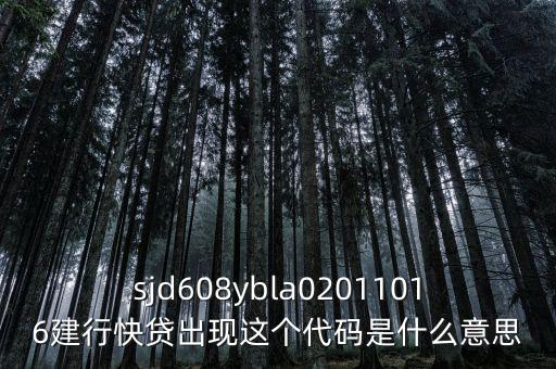 sjd608ybla02011016建行快貸出現這個代碼是什么意思