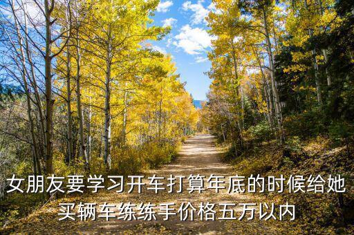 600635后面的符號(hào)是什么意思，女朋友要學(xué)習(xí)開(kāi)車打算年底的時(shí)候給她買輛車練練手價(jià)格五萬(wàn)以內(nèi)