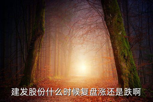 002719股什么時候復盤，000719什么時候復牌啊