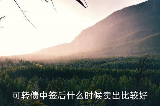 可轉(zhuǎn)債一般什么時候賣出，中國銀行可轉(zhuǎn)債什么時候能賣出