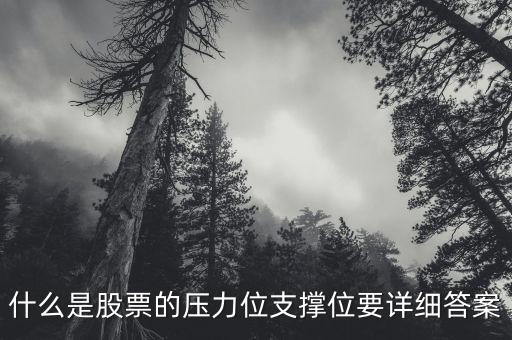 股票什么是支撐位，什么是股票的壓力位支撐位要詳細(xì)答案