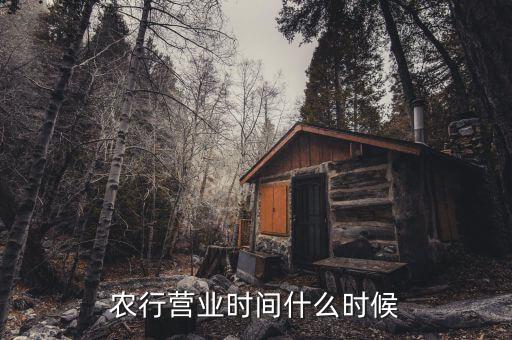 農(nóng)行什么時(shí)候上班，農(nóng)行上班時(shí)間
