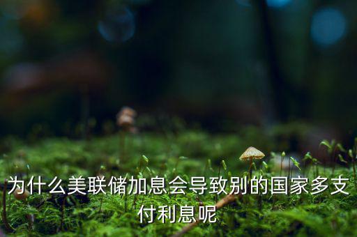 為什么美國(guó)加息，美國(guó)加息是什么意思