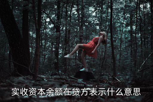 什么是資本余額，什么是資本性資金誰知道請告訴我謝謝
