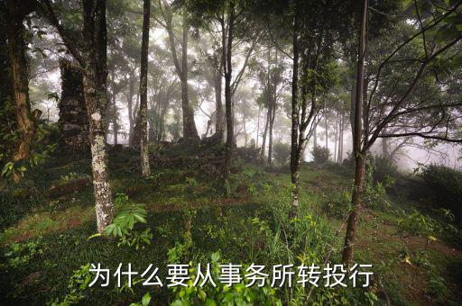 為什么要從事務所轉投行