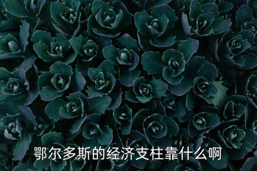 為什么鄂爾多斯經(jīng)濟發(fā)展，鄂爾多斯市是什么原因讓其發(fā)展如此迅猛