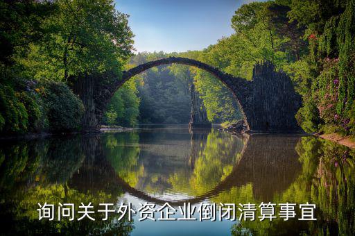 沈陽投資公司跑路市政府什么解決，詢問關于外資企業(yè)倒閉清算事宜