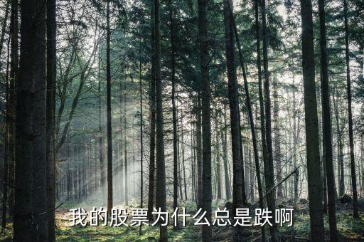 捷城股份為什么一直跌，有被捷成投資騙的人嗎咱們一起去告他