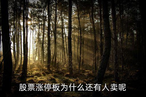 為什么已經(jīng)漲停的股票那么多人買，當(dāng)天漲停的股票為什么還有那么多人買入跟進(jìn)呢