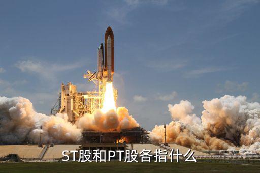 什么叫pt股，股票中PT股代表什么意思