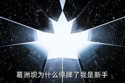 葛洲壩為什么停牌，葛洲壩為什么8月21日停牌