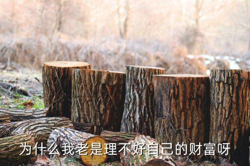 財富為什么不好說說理由，我?guī)蛣e人回答問題為什么說財富不足
