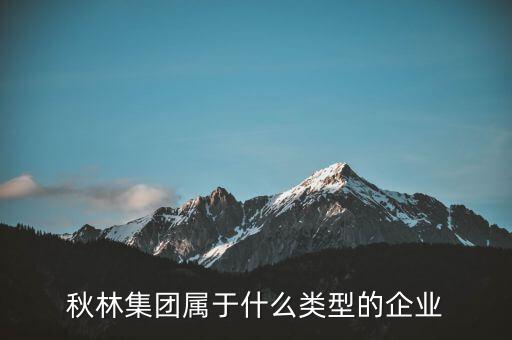 秋林集團是什么板塊，秋林集團屬于什么類型的企業(yè)