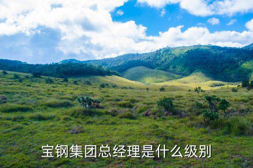 寶鋼研究院院長是什么級(jí)別，上海寶鋼集團(tuán)是行政什么級(jí)單位