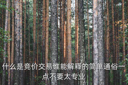 什么是競價交易誰能解釋的簡單通俗一點(diǎn)不要太專業(yè)