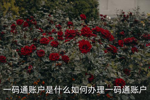 什么是一碼通賬戶，財達證券的一碼通賬戶是什么