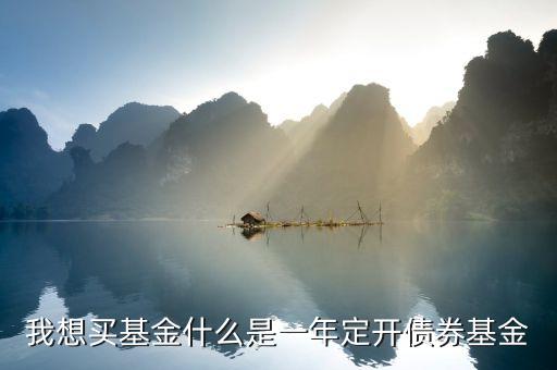 定開債券是什么意思，我想買基金什么是一年定開債券基金