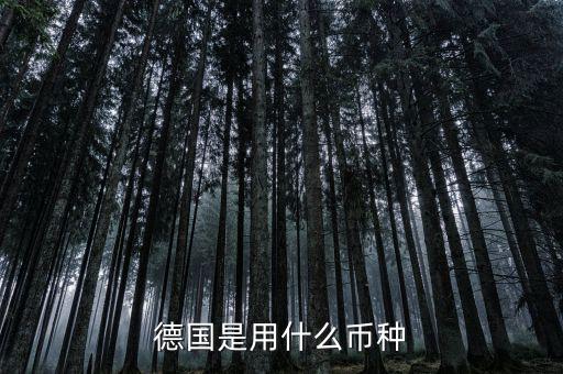 德國是什么貨幣，德國是用什么幣種