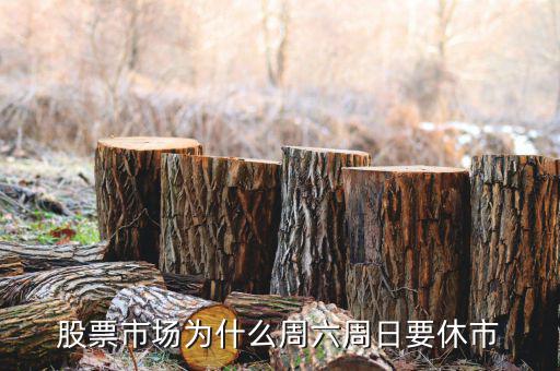 星期六為什么停牌，股票市場(chǎng)為什么周六周日要休市