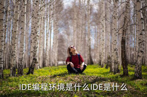tltro是什么，虛擬內(nèi)存是什么玩意