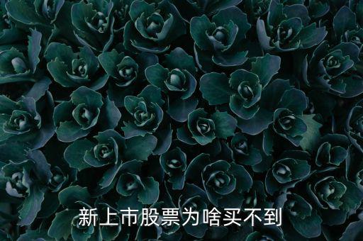 為什么新股我總買不到，新上市股票為啥買不到