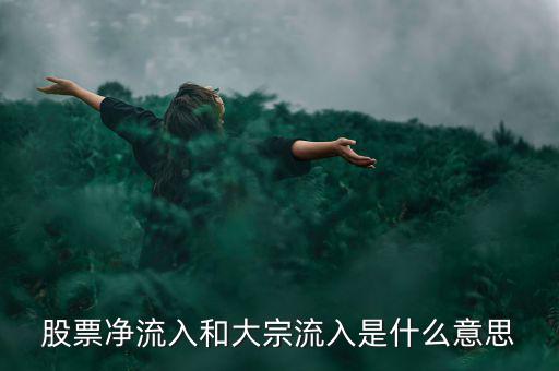 股票大宗流入是什么意思，股票凈流入額大宗流入什么意思