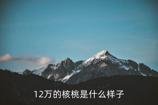 36萬核桃長什么樣，大家看這個(gè)核桃做的怎樣值多少